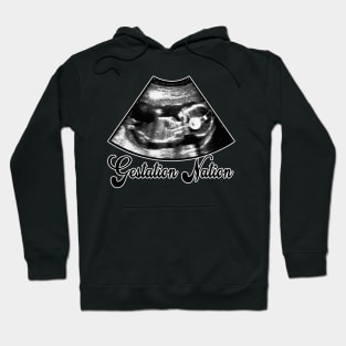 Gestation Nation #1 (blight version) Hoodie